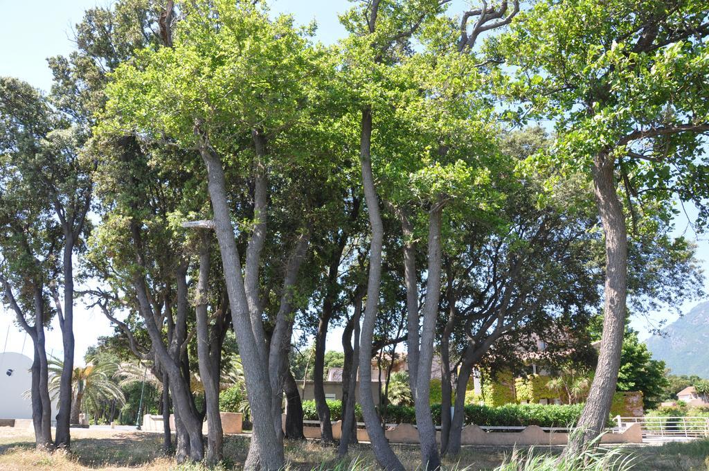 Aparthotel Sole E Mare Santa-Maria-Poggio  Zewnętrze zdjęcie